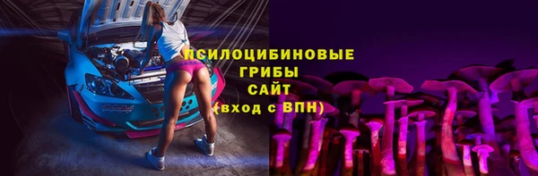 СК Алексин