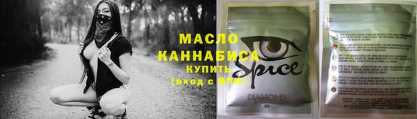 СК Алексин
