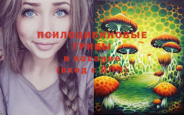 СК Алексин