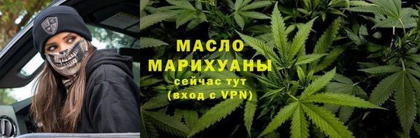 СК Алексин