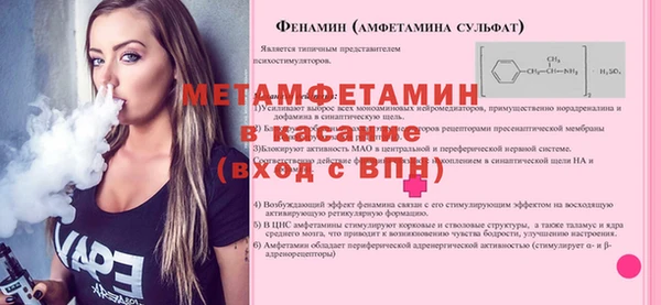 индика Зеленодольск